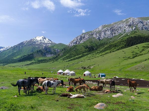 Alpe with Yurt and horses-the mares are used for milking National Park Besch Tasch